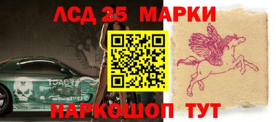 индика Дубна