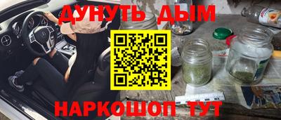 индика Дубна