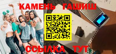 индика Дубна
