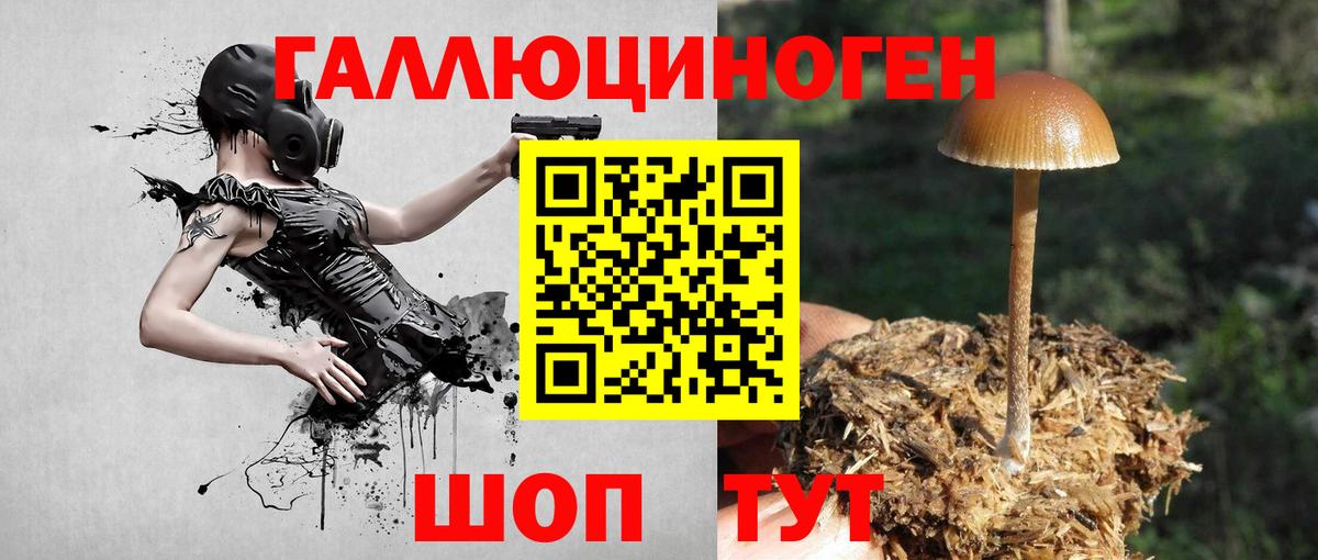 Лыткарино  Галлюциногенные грибы Psilocybine cubensis  Вход с VPN 