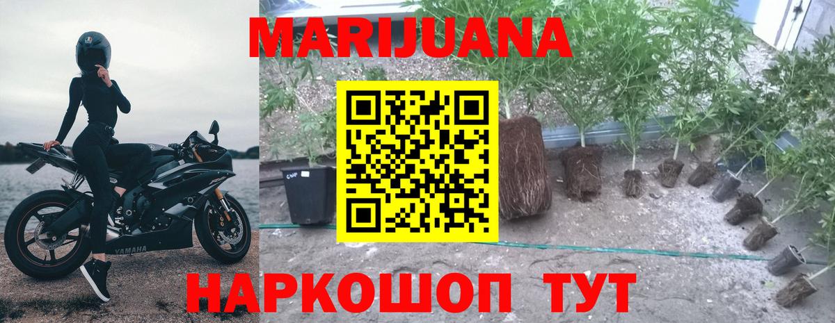 Марихуана семена  Бошки Шишки марихуана  Лыткарино  Вход с VPN  Каннабис Bruce Banner 